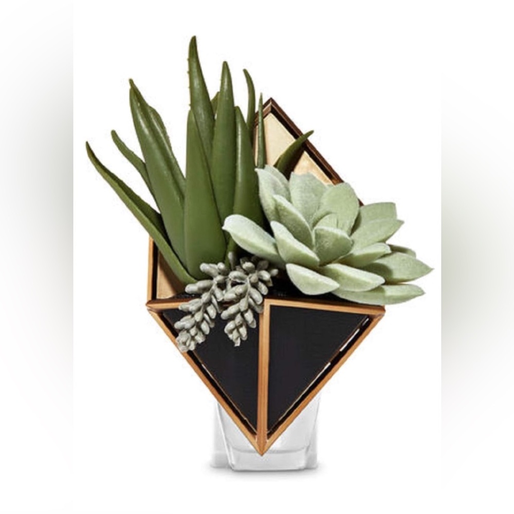 Bath & Body Works - Succulent WallFlower Plug in Geometric Design